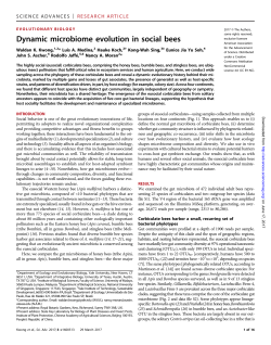 Dynamic microbiome evolution in social bees