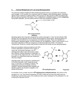 Chemical Mutagenesis of E. coli using Nitrosoguanidine