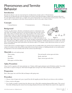 Pheromones and Termite Behavior