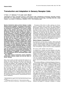 Transduction and Adaptation in Sensory