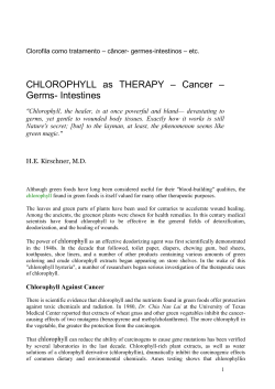 CHLOROPHYLL as THERAPY