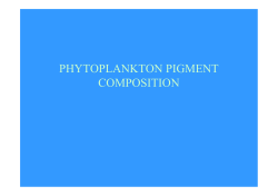 phytoplankton absorption in relation to pigment - DSR