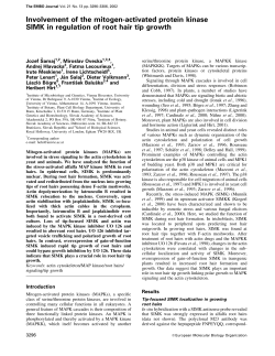 Involvement of the mitogen-activated protein