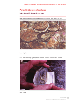 Infection with Bonamia exitiosa - Department of Agriculture and