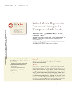 Skeletal Muscle Degenerative Diseases and Strategies for