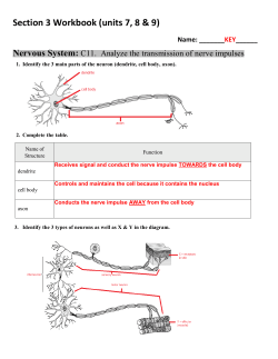 Section 3 Workbook ANSWERS File