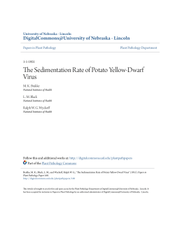 The Sedimentation Rate of Potato Yellow
