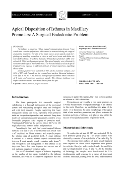 Apical Disposition of Isthmus in Maxillary Premolars: A Surgical