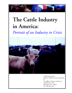 The Cattle Industry in America: Portrait of an Industry in - R