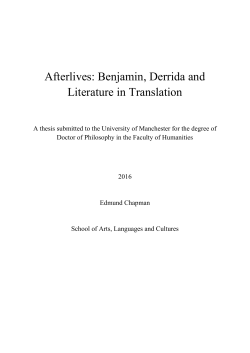 Afterlives: Benjamin, Derrida and Literature in Translation