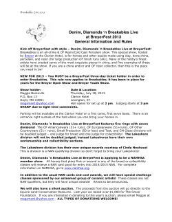 Denim, Diamonds `n Breakables Live at BreyerFest
