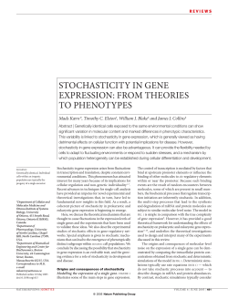 pdf file - Collins Lab