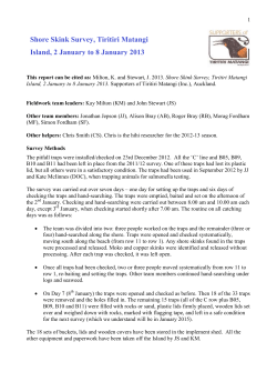Skink Survey Summary Report 2013
