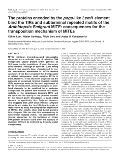 proteins encoded by the pogo-like Lemi1 element bind the TIRs and