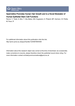 Spermidine Promotes Human Hair Growth and Is a Novel Modulator