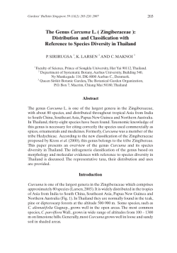 The Genus Curcuma L. ( Zingiberaceae )