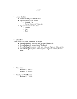 Lesson 7 Lesson Outline: Embryonic Origins of the Dermis