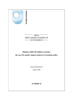 Making visible the hidden economy