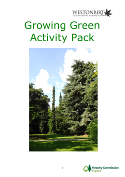 Growing Green Activity Pack