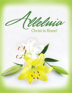 Bulletin - Oak Grove United Methodist Church