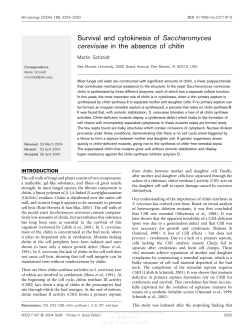 Survival and cytokinesis of Saccharomyces cerevisiae in the