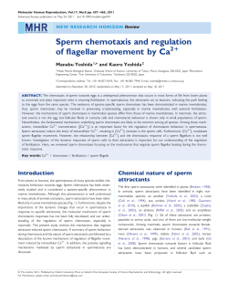 Sperm chemotaxis and regulation of flagellar
