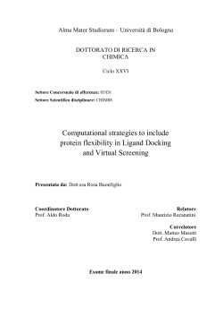 Computational strategies to include protein