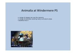 Animalia at Windermere PS
