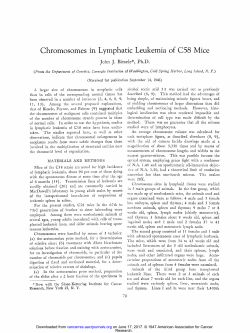 Chromosomes in Lymphatic Leukemia of C58 Mice