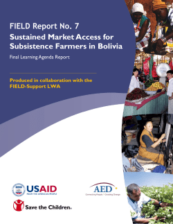 Establishing Sustainable Market Access for Subsistence Farmers in