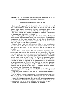 On Laevicolica and Dextricolica in Tunicates