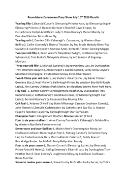 File - Roundstone pony show