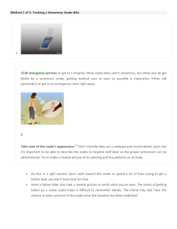 Snake Bite Treatment