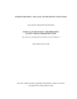 Internet Branding - The Rebranding of West Virginia Higher Education