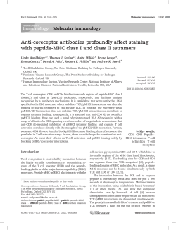 Anti-coreceptor antibodies profoundly affect staining with peptide