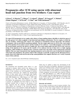 Pregnancies after ICSI using sperm with abnormal head&plusmn;tail