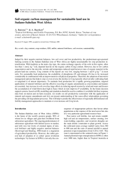 as a PDF