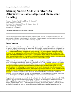 Promega Notes 45: Staining Nucleic Acids with Silver: An