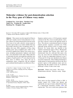 Molecular evidence for post-domestication selection in the Waxy