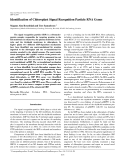 Identification of Chloroplast Signal Recognition Particle RNA Genes