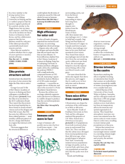 Town mice differ from country ones Zika protein structure