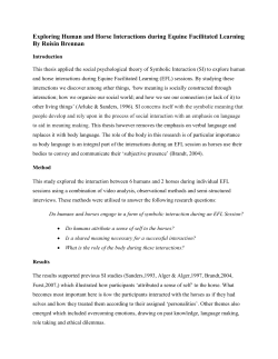 Exploring Human and Horse Interactions during