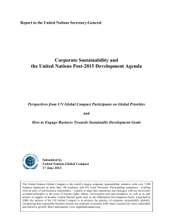 Corporate Sustainability and the United Nations Post