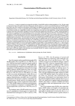 Characterization of RAPD markers in Vitis