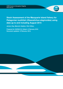 Stock Assessment of the Macquarie Island fishery for Patagonian