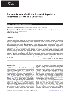 Surface Growth of a Motile Bacterial Population Resembles Growth