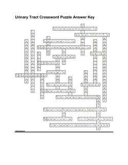 Urinary Tract Crossword Puzzle Answer Key