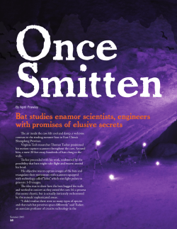 Bat studies enamor scientists, engineers with promises of elusive