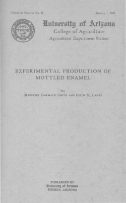 Experimental Production of Mottled Enamel
