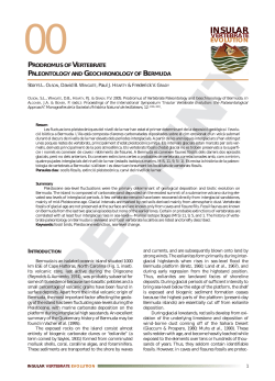 insular - Sydney Business School